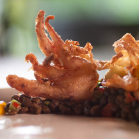 Опушени калмари с леща белуга