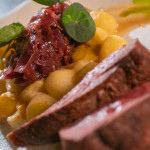 Патешко магре