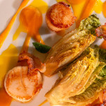 Миди Сен Жак