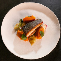 Стек от див лаврак (размер 1+)