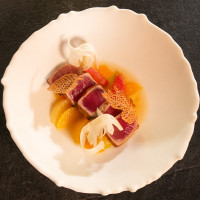 Риба тон филе Premium Bluefin